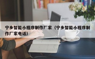广水宁乡智能小程序制作厂家（宁乡智能小程序制作厂家电话）